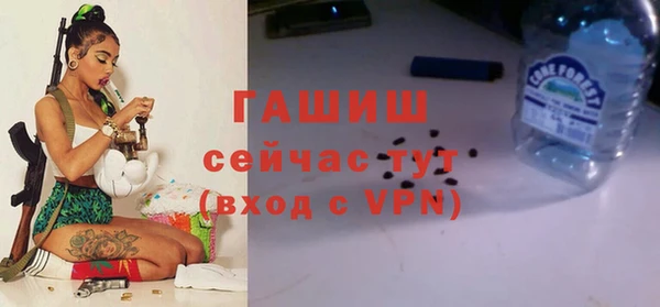 молекула духа Алексин
