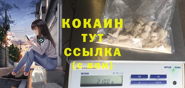 соль ск Абаза